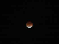 lunareclipse20050504a.JPG (333739 bytes)