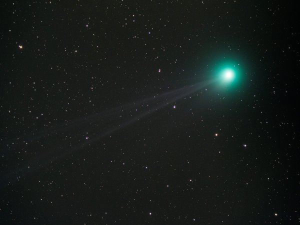 Comet Lovejoy (C2014 Q2)