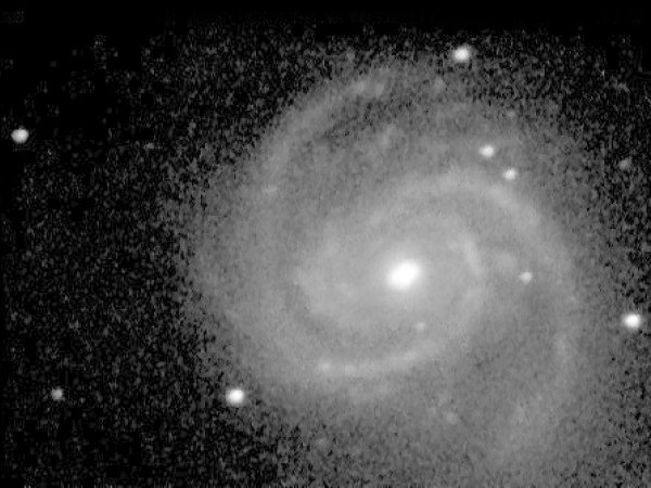 M100 Virgo Cluster Galaxy