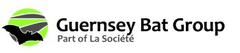 Bat Section Logo