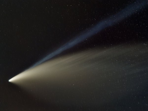 Comet C/2020 F3 (NEOWISE)