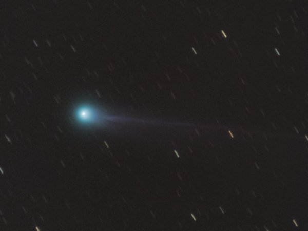 Comet C/2025 A6 Lemmon