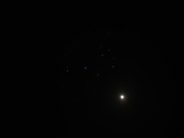 Venus and the Pleiades