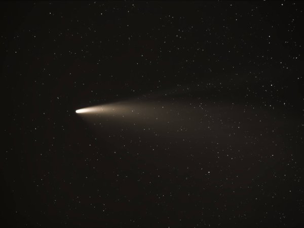 Comet C/2020 F3 (NEOWISE)
