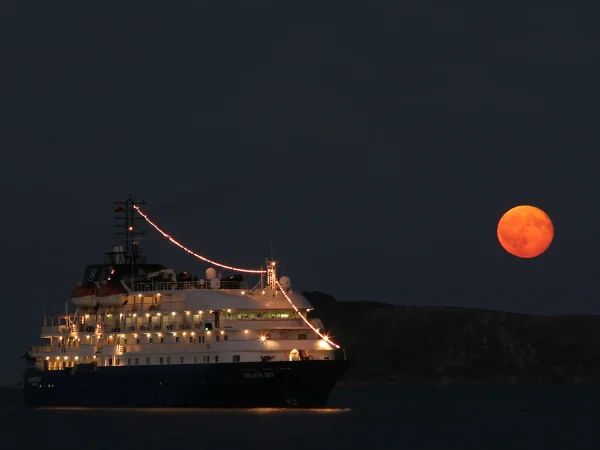 Moon Rising